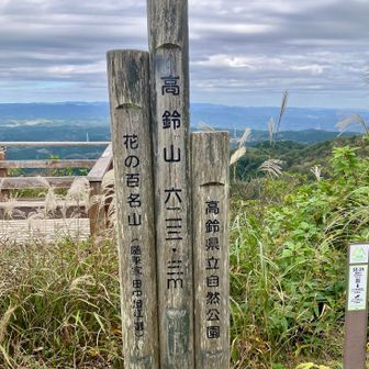 高鈴山トウチャコです。
623m日立の最高峰です。
花🌸の百名山ですが余り花はありません。