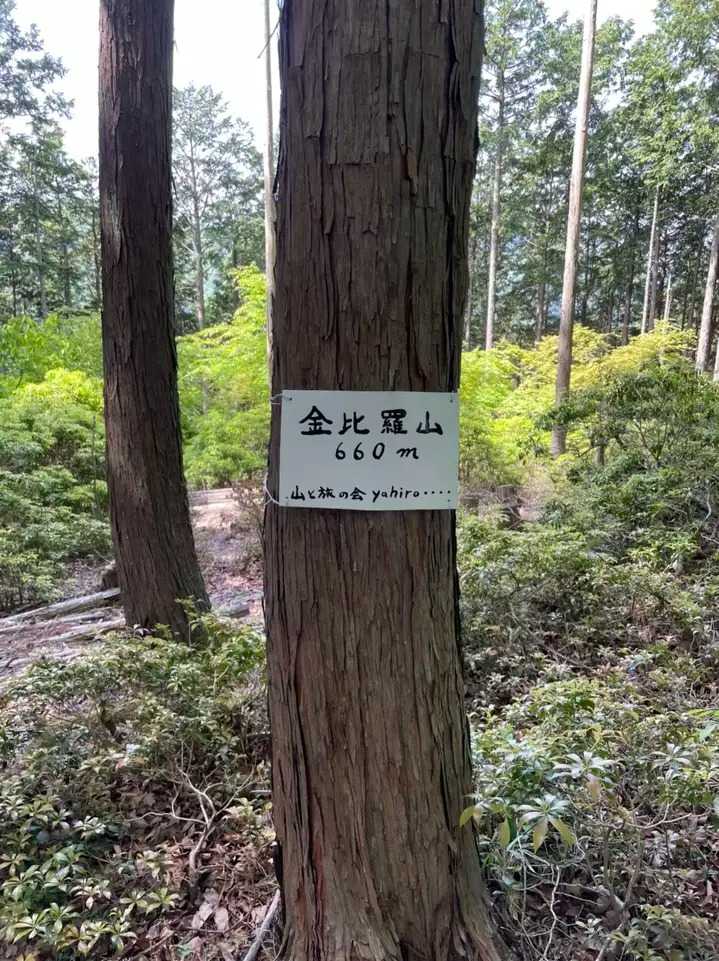 金比羅山の写真