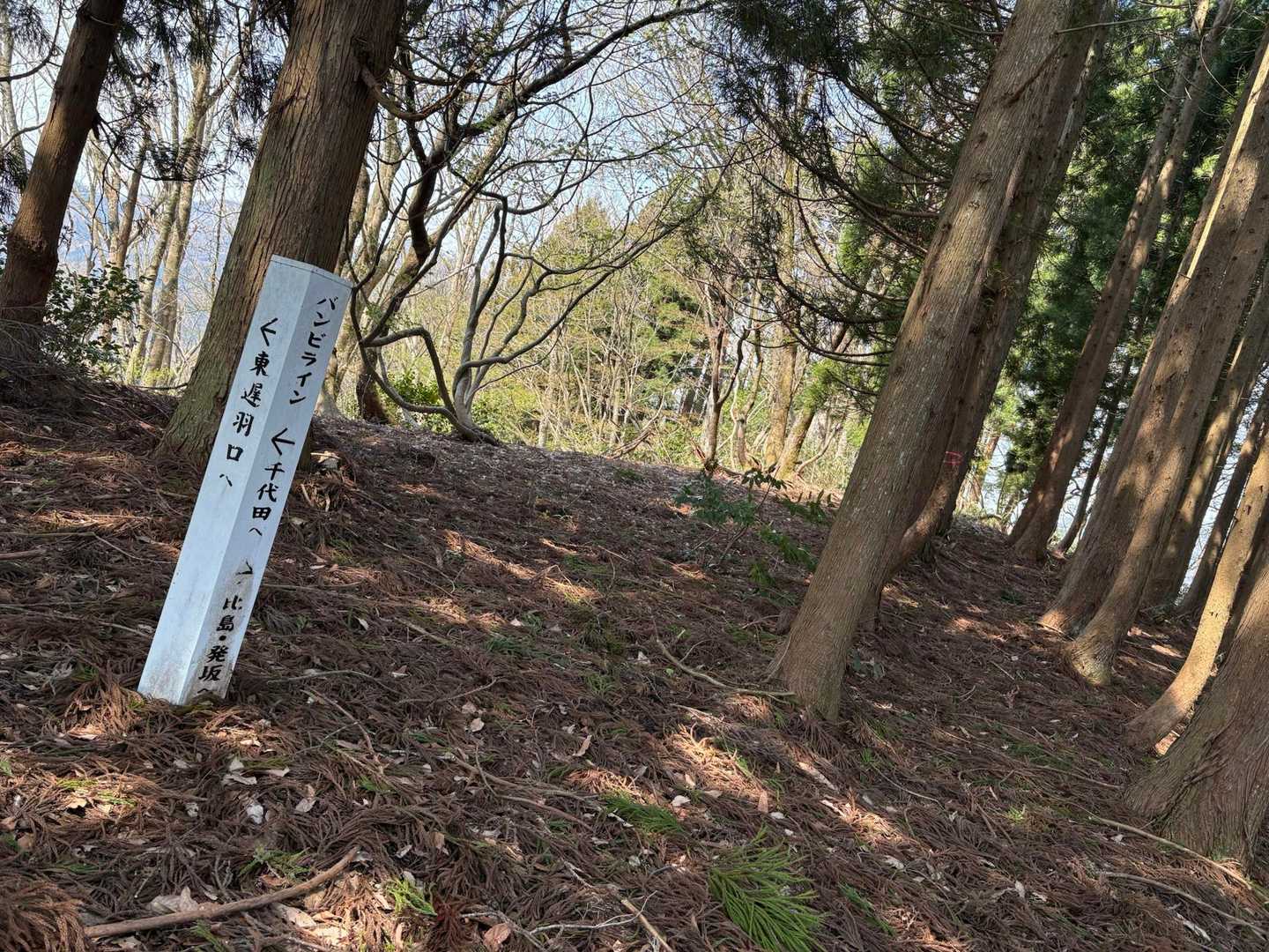 展望スポットあるから　
安心して下山して下さい♪😆
