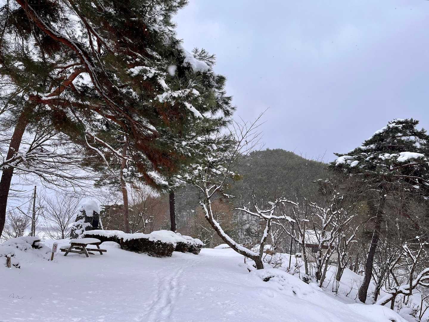 向羽黒山へ向かいます💪