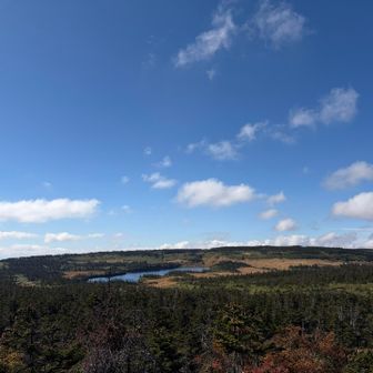 八幡平の湿原を遠望。
