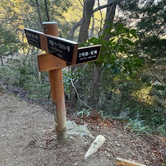 2号路から合流(はじめて歩いた)