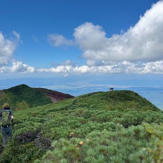 荒涼たる大地と遠くに広がる陸奥湾
眼下に広がる豊かな高層湿原、なもかもみせたい