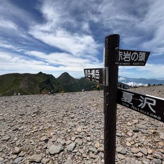 硫黄岳山頂に戻って腹ごしらえ😋