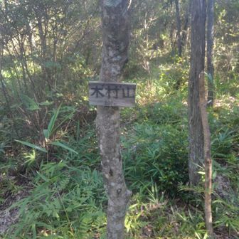 このコースのラストに到着です。🙏ここにくるまで倒木ありでしたが、極太🌳だったのでまたいで通行可能な状態まで工事しました。
（没頭し過ぎると日が暮れるので💦ほどほどに〜💪）