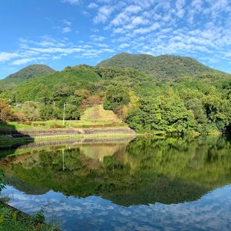 二上山

ダイヤモンドトレイル縦走大会は、大阪・奈良・和歌山の県境に位置する金剛葛城山系の稜線（ダイトレ）を舞台に、毎年10月に開催される長距離縦走大会です。二上山から紀見峠までの20〜40kmの過酷な山道を、各自の体力に合わせて歩き通します。