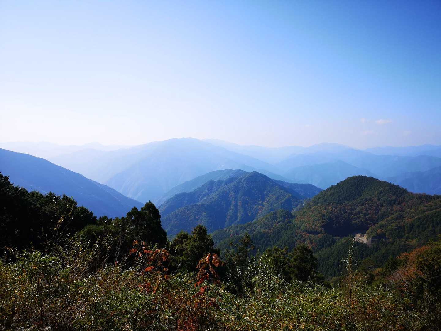 玉置神社-玉置山 往復コースの写真