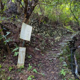 上の登山口までは集落跡っぽい感じのところを上がってく。