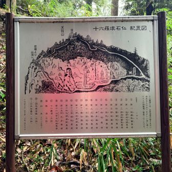 この山は、さっき通り過ぎた能仁寺(のうにんじ)の所有地で、能仁寺で愛宕権現を祀ったことから、かつては「愛宕山」と呼ばれていたそうです。
その後、この岩壁に羅漢像が祀られると、今度は「羅漢山」と呼ばれるようになったそうです。
看板が赤く見えるのは、傘の色が写っているから☔️