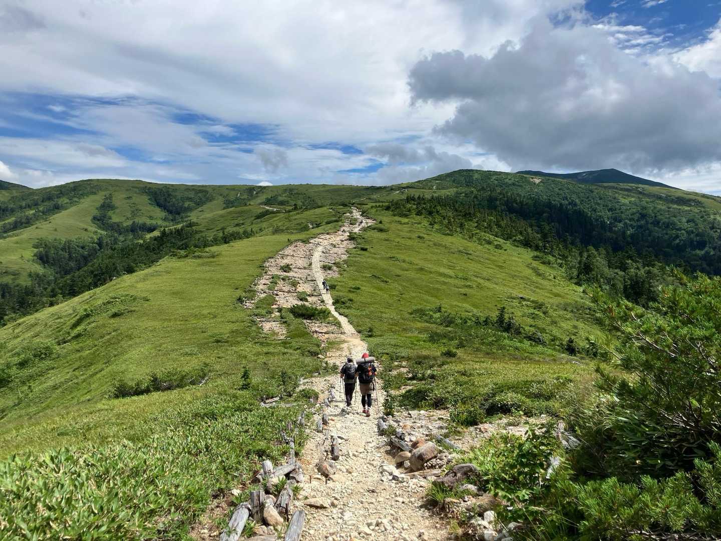 薬師岳登山口-五光岩ベンチ-太郎山 往復コースの写真