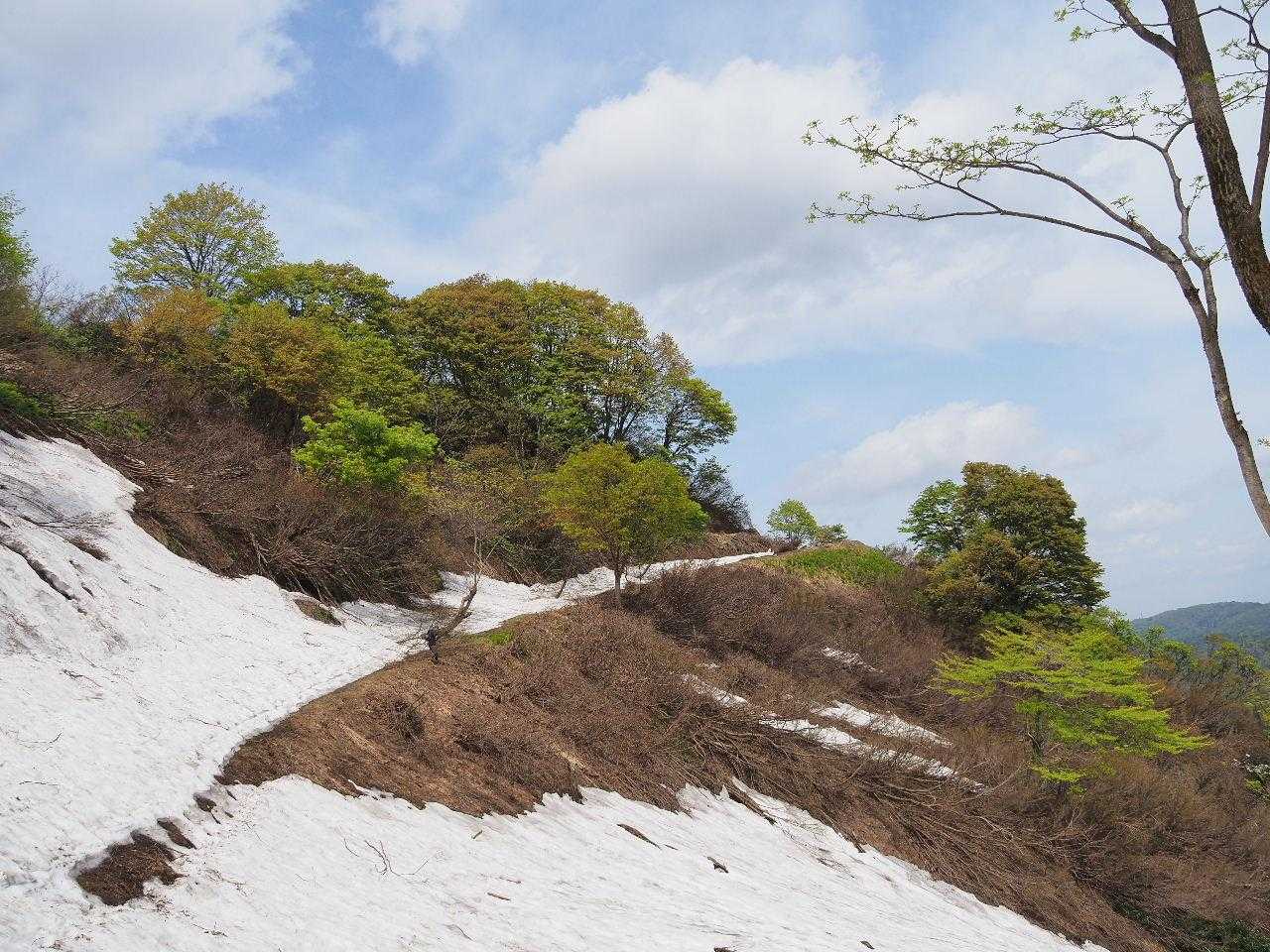 ちょっと要注意