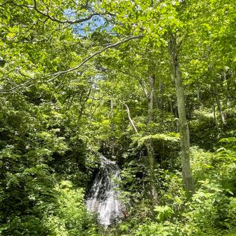 🌳の中で平和の滝に癒されながら走れます♪