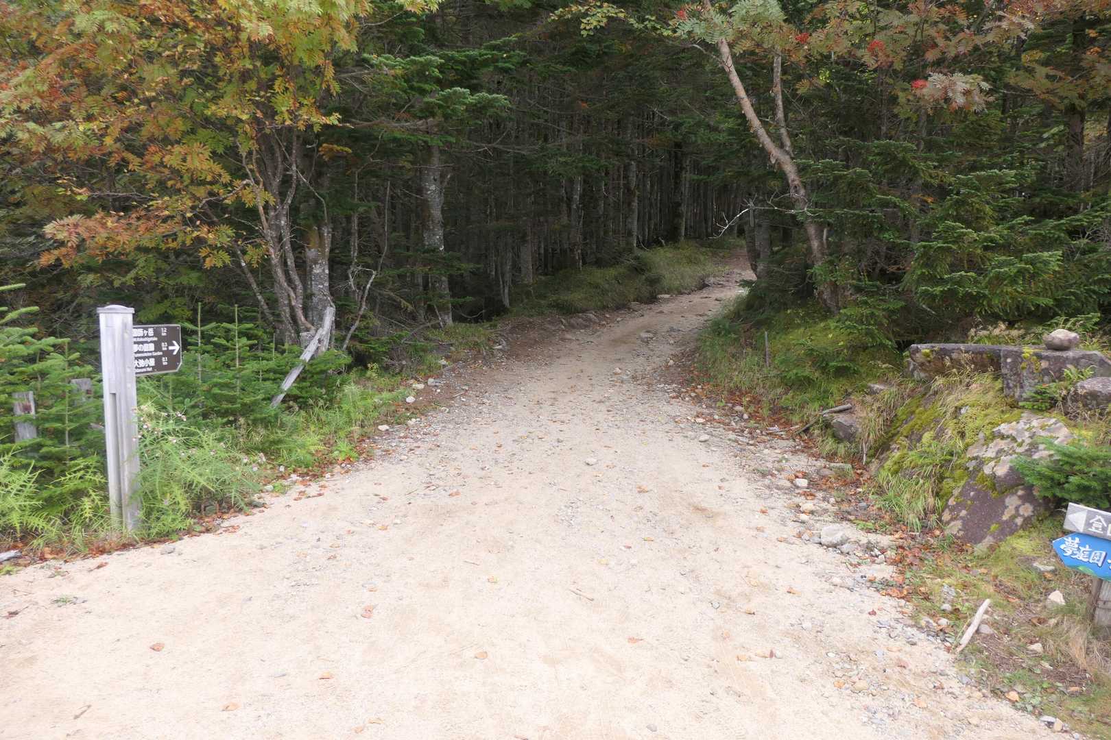 国師ヶ岳に向かいます。