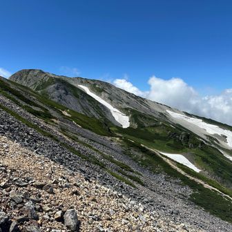 南にどっしり鎮座した白馬鑓ヶ岳は、白馬岳とは違った楽しい景色です。