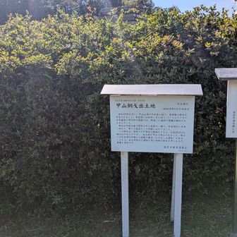 頂上