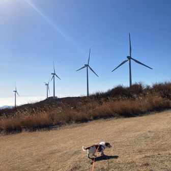 ブンブンまわってるや