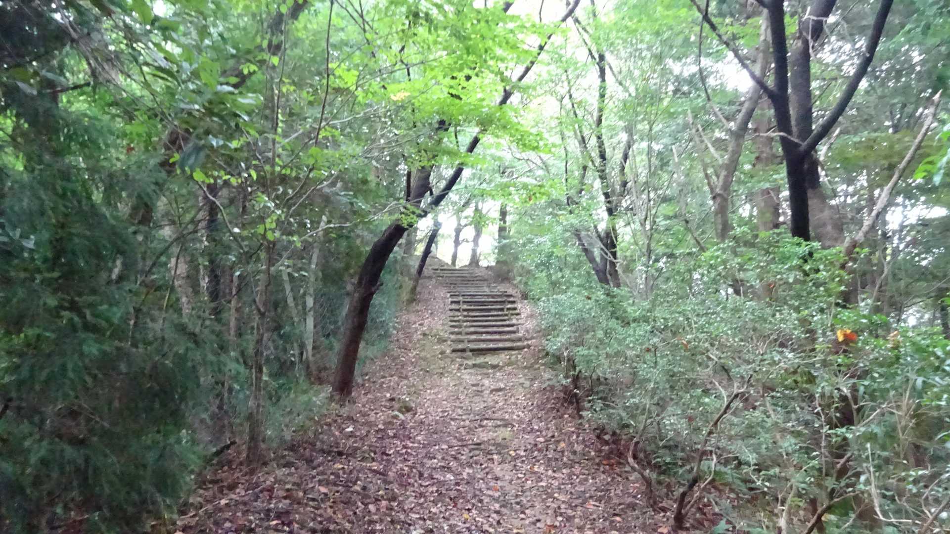 ⛳ 6番ホ－ルへ......🗨️🏌️🎶

(フライングディスクゴルフコース)
