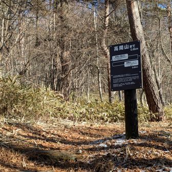 高間山登山口
山頂まで直登だ😤