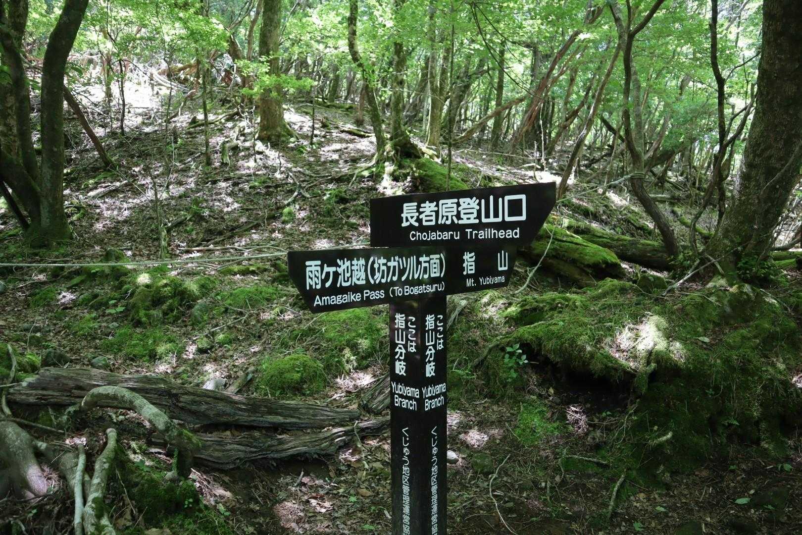 指山山頂でゆっくりと撮影会とランチをした後、まだ時間が有るので雨ヶ池方面まで散策してきます🎶