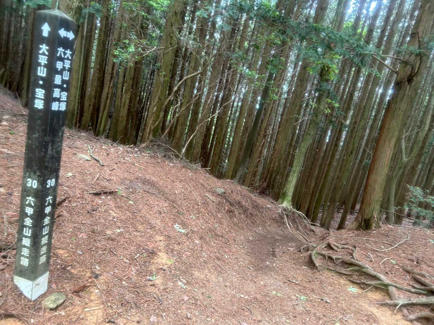 まだ山道が少しマッディなってて、
2回ほど腰が浮いて尻モチついたり、
ズッコケそうになった。