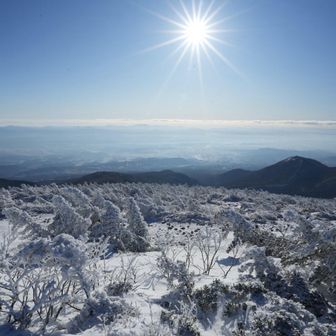風が強いのか吹き溜まってないところは
カリカリで沈まない