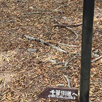 こんな🪧あったっけ？🧐