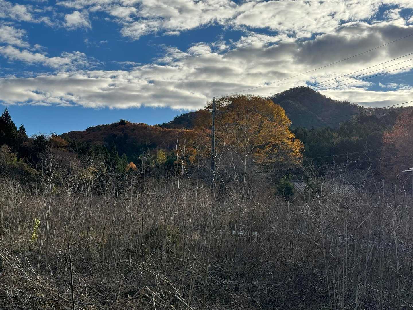 また来ます！
ありがとう😊