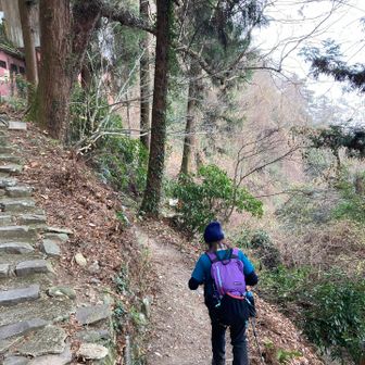 山道に入ります