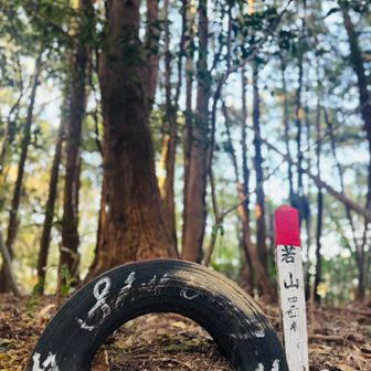 直ぐに若山⚐ﾞ笑

観たかった素敵な🛞♡
若山の標識が下に転がってて…悲惨߹߹

タイヤ横に
埋め込みました٩( ᐛ )و笑