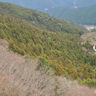 西峰からの眺め