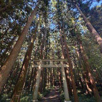 信仰の山のスタートは必ず
⛩️から🙏