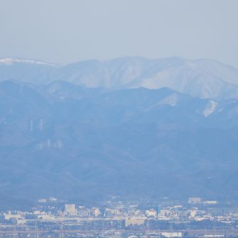 これは…
撮った本人も判らず😅