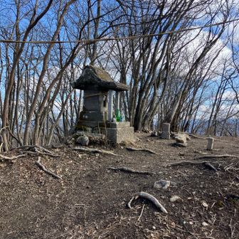 荒船山山頂に登頂