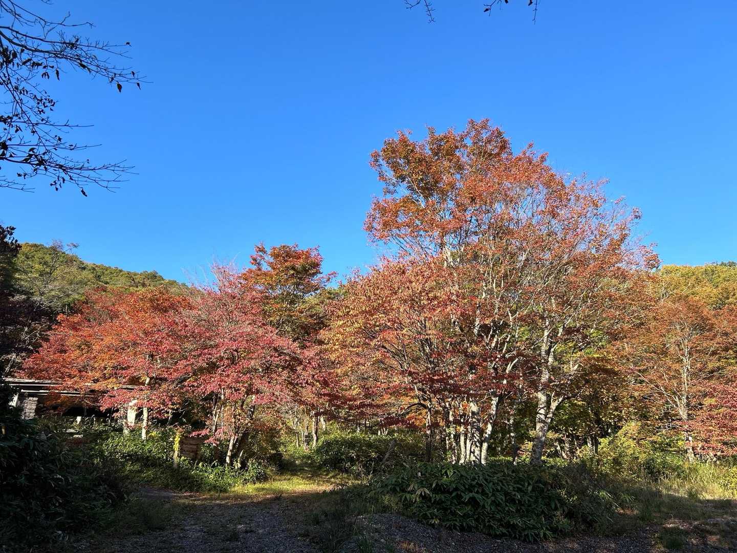 ひろしま県民の森登山口-出雲峠-比婆山 周回コースの写真