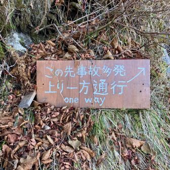 登りの方が厳しいのかな