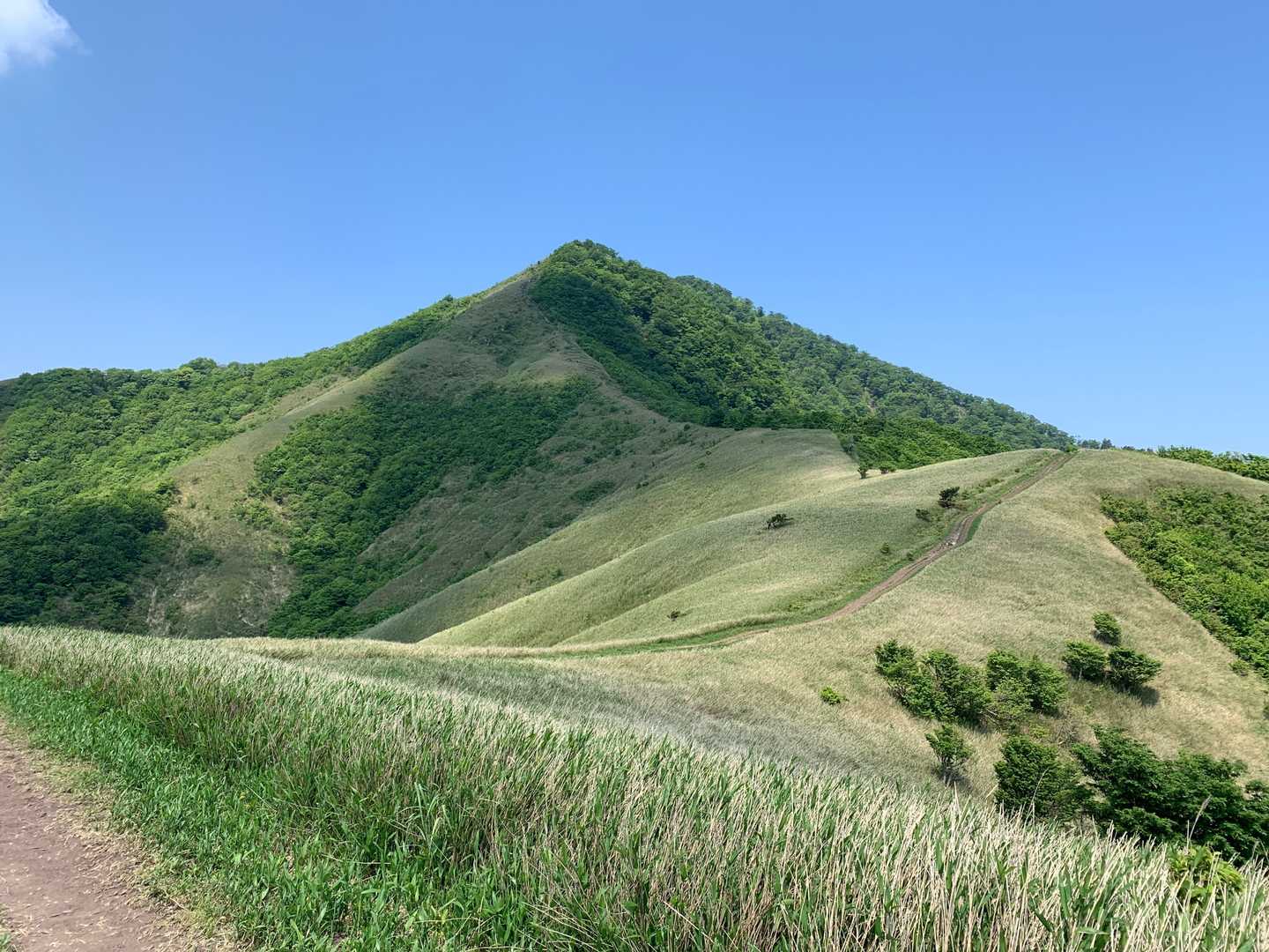 すごくいい景色