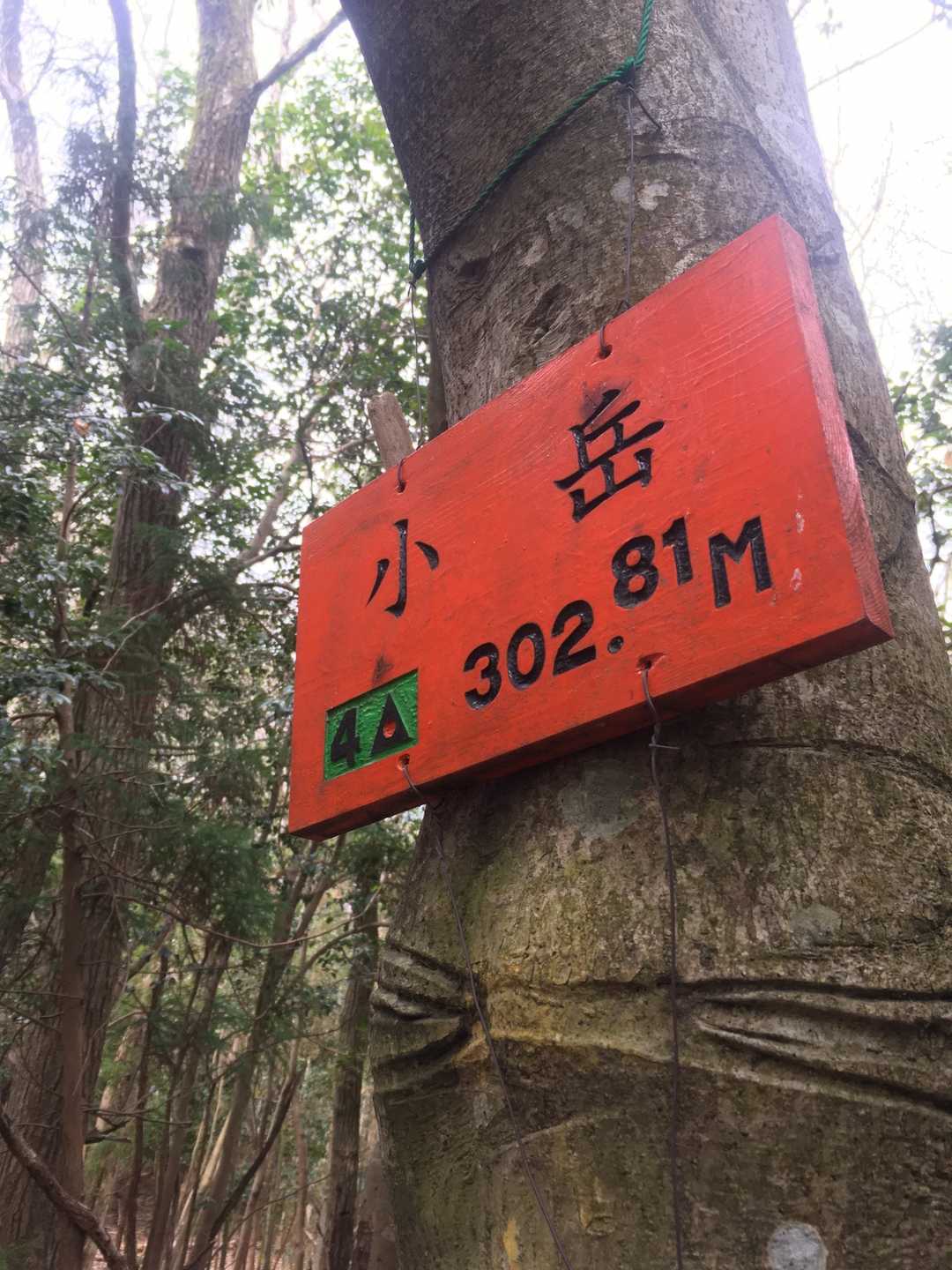 山名プレートのカラーリングが寂しい山頂に唯一の彩りを添えていた。