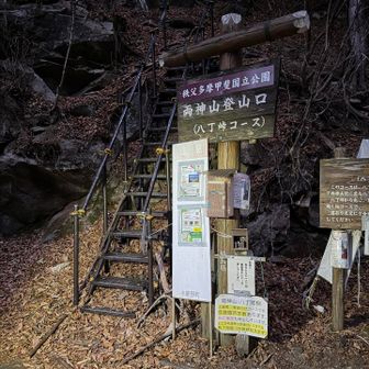 この階段からスタート▶️