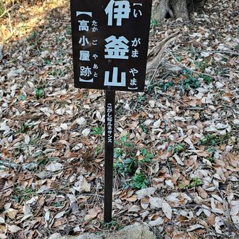 今日のお目当て
伊釜山