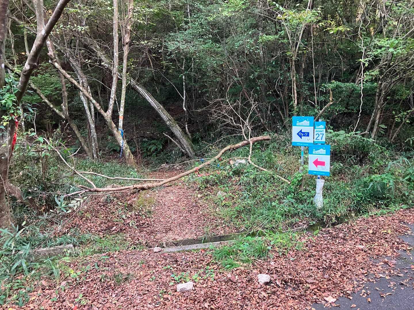 ずずずずず～と移動させてなんとか通れるようにしておきます