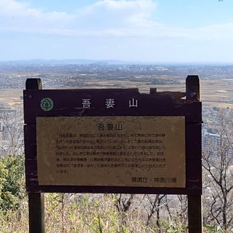 鶴巻温泉駅まであとチョット