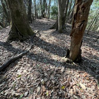 よっし！登りきったぞー！頂上‼️