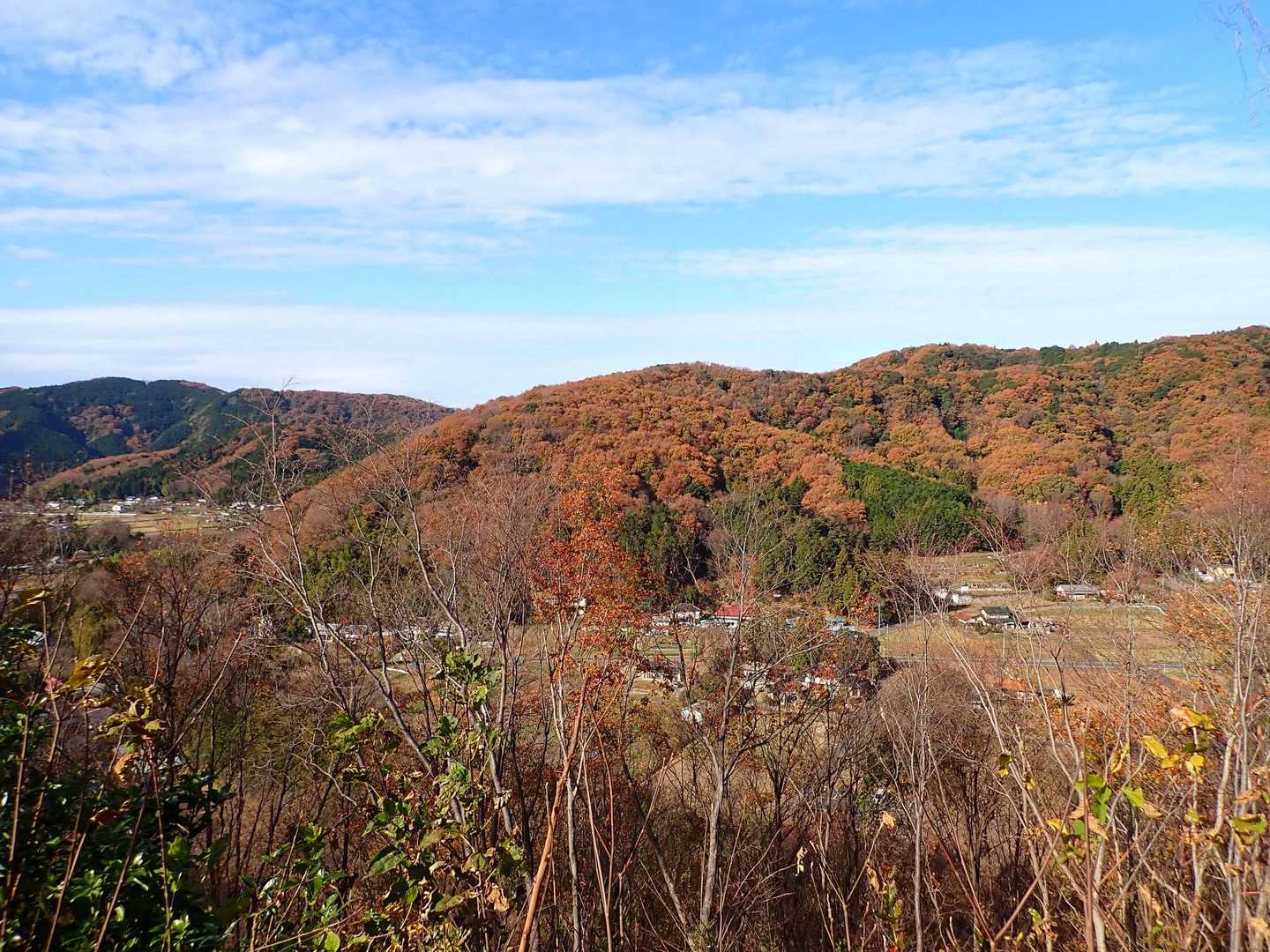 里山の冬。これもまた良き山である。
