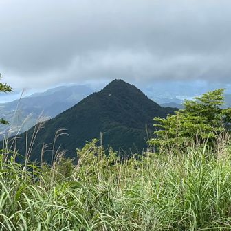 権現山⛰️雲☁️が立ち込めています宇和海がチラリと見えます。帰りには晴れてるかなぁ？
