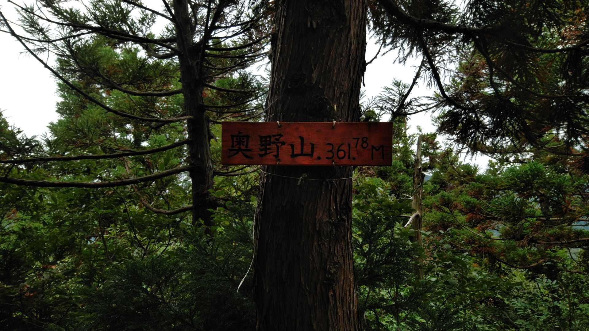 行きに見逃した奥野山頂上