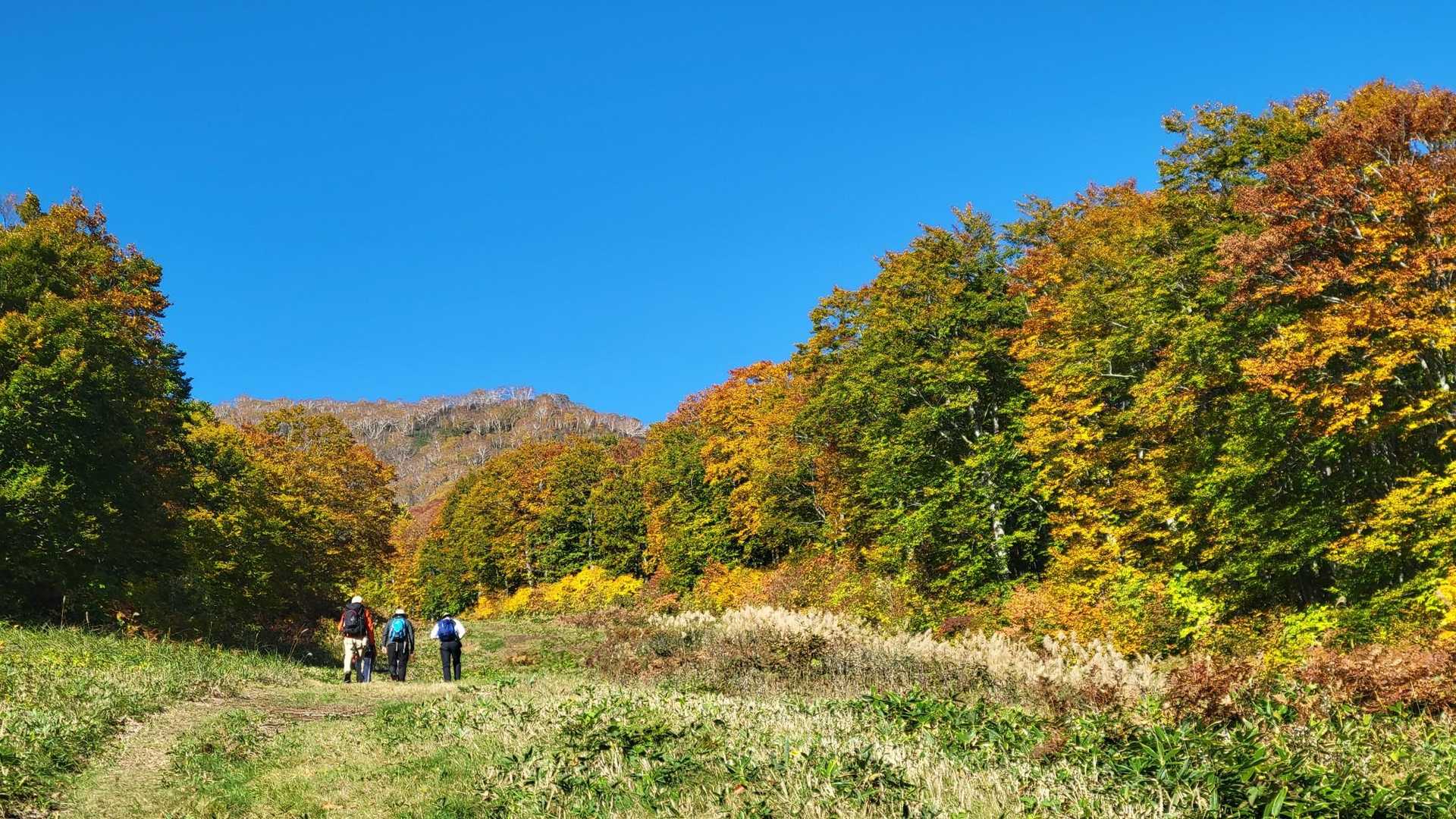 山頂駅-妙高山 往復コースの写真
