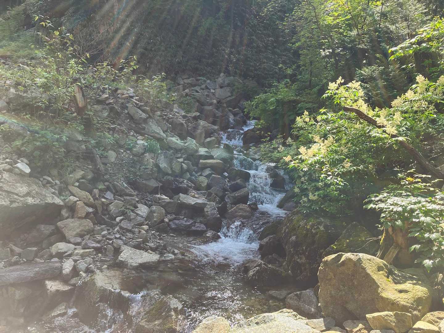 洗顔。