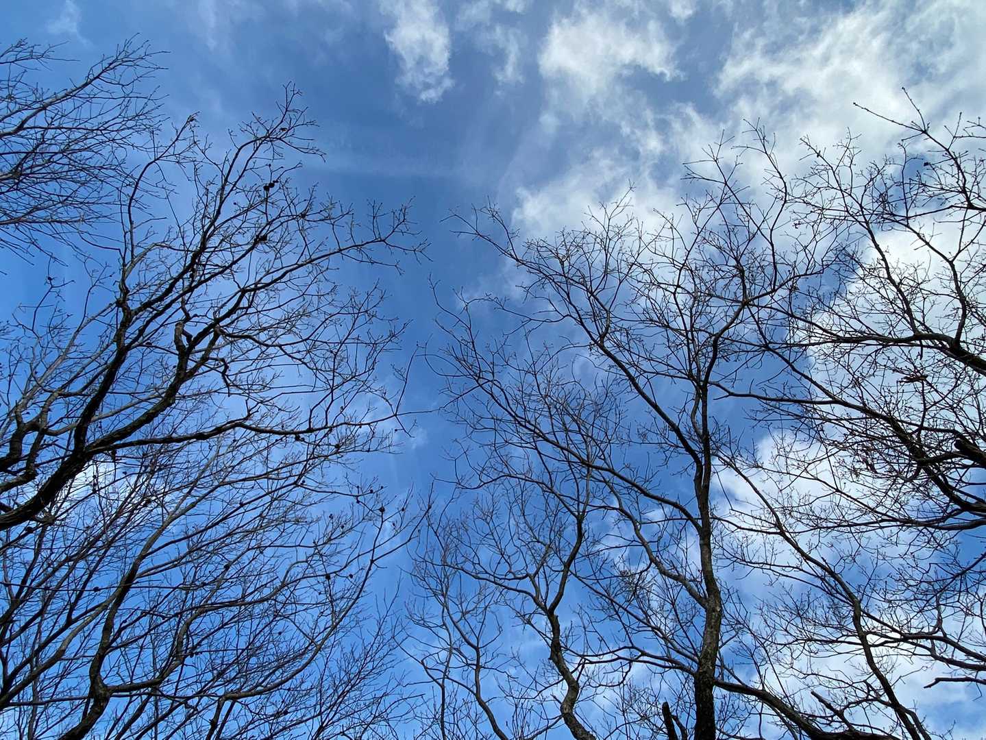 空は晴れてます☀️
雲が多いので、ヒンヤリ。