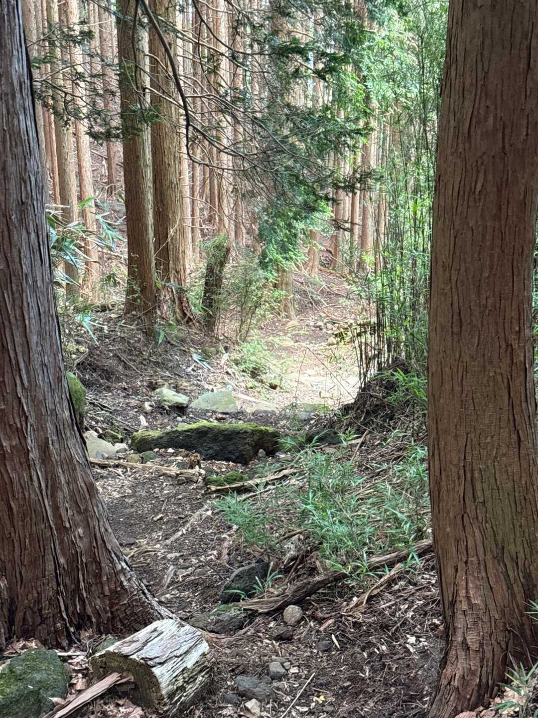 細い道で荒れてます🛣️