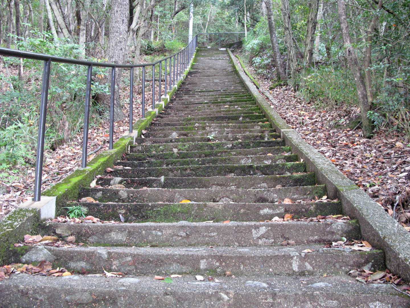 か、階段～♬
前回は、この階段上の左の山から突入🤣